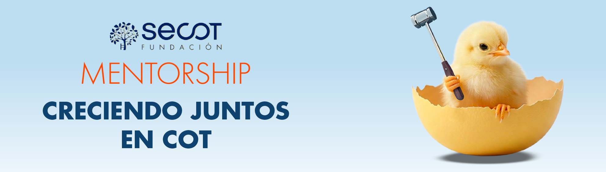 Proyecto Piloto: SECOT Mentorship
