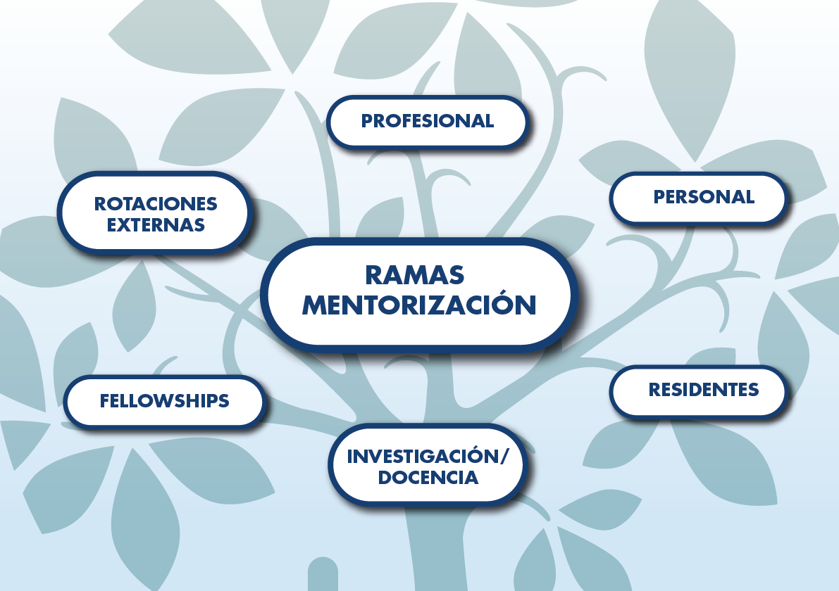 Áreas de Mentorización
