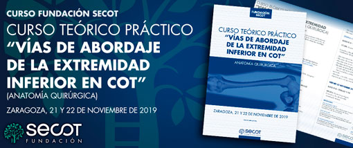CURSO TEÓRICO PRÁCTICO VÍAS DE ABORDAJE DE LA EXTREMIDAD INFERIOR EN COT 2019