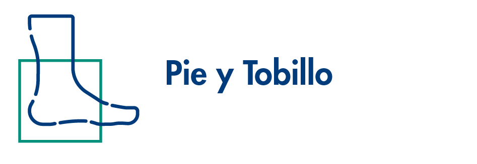 Pie y Tobillo