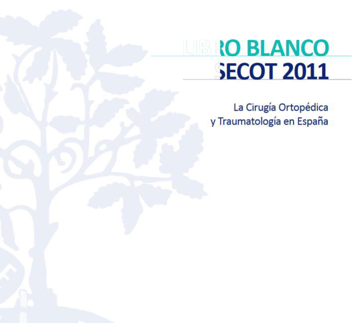 Libro Blanco de la SECOT 2006
