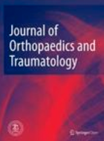 Journal Of Orthopaedics And Traumatology (Springer Open)