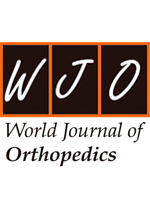 World Journal Of Orthopaedics (Baishideng Publishing Group)